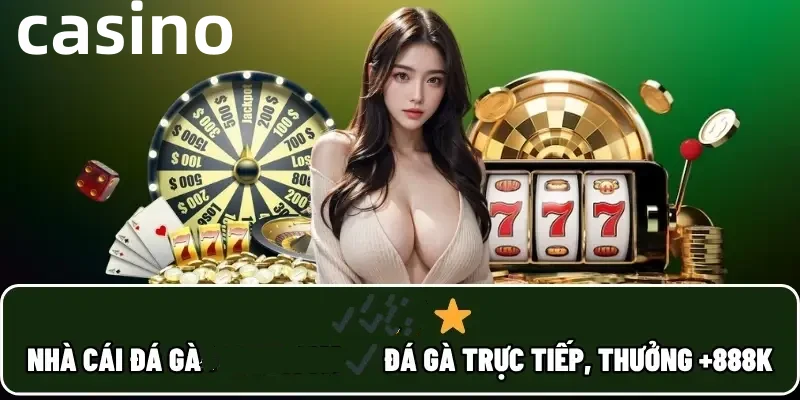 ibbet