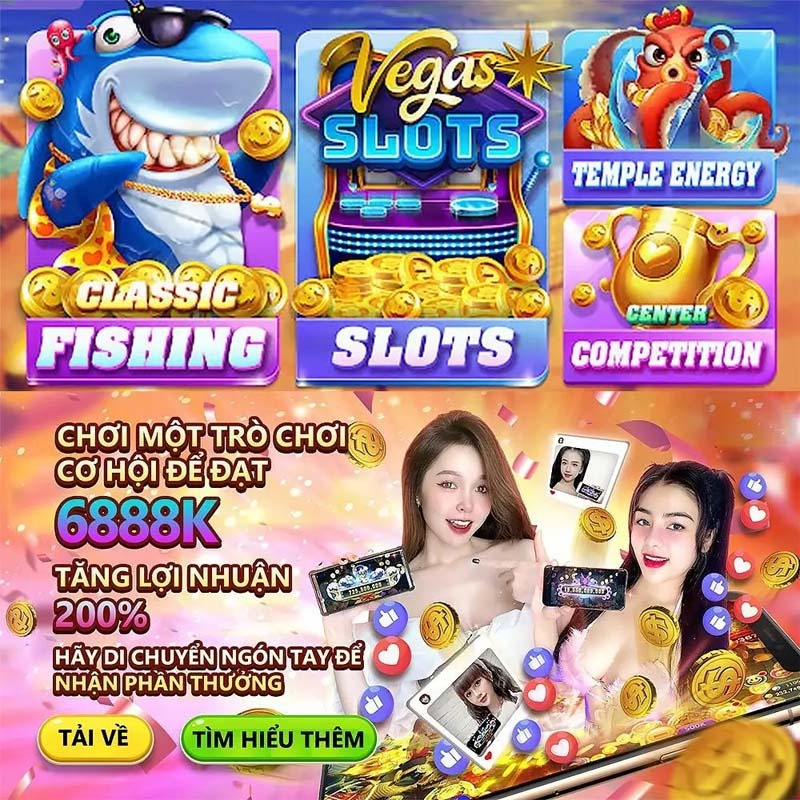 ibbet
