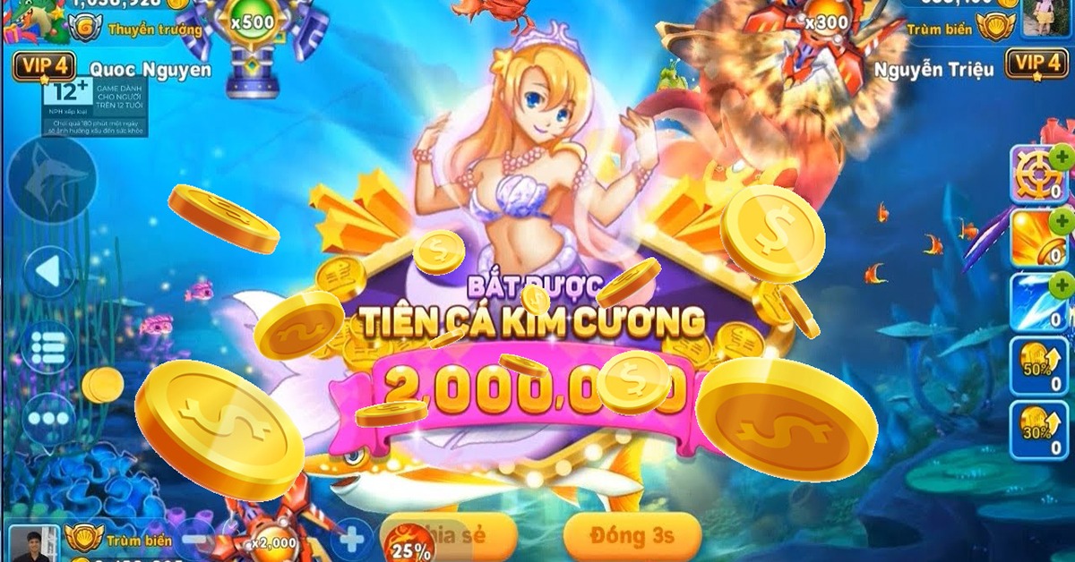 ibbet